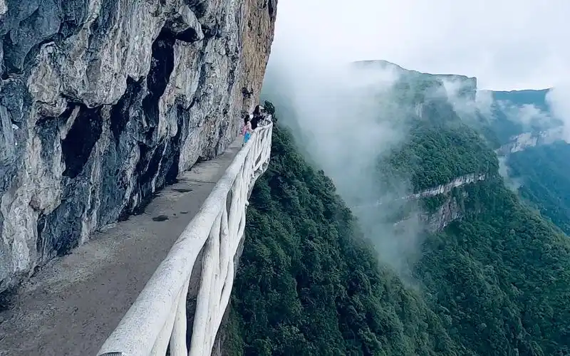 实拍重庆金佛山绝壁栈道,有没有不敢走的_哔哩哔哩_bilibili