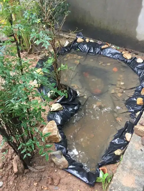 原创111元自己动手做鱼池