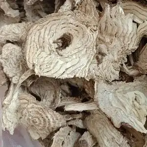 广西中药材白商陆根 章柳根 当陆切片晒干农产品500克件