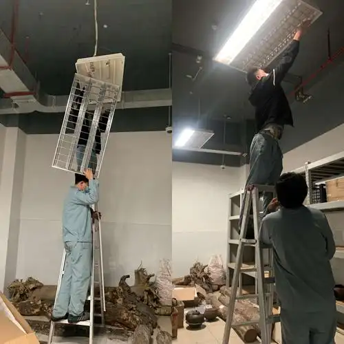 地下库征集部库房更换灯管.