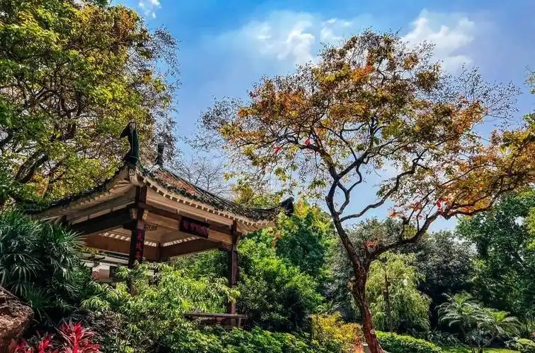 广州旅游攻略景点必去十大好玩的地方推荐