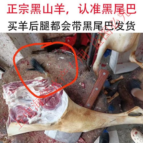 当天新鲜羊肉 生鲜羊肉 云南本地黑山羊肉 青海藏绵羊肉 羊腿羊排 整