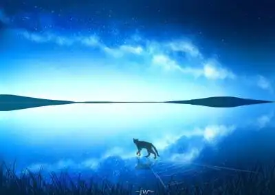 星空下的猫 画师jw(p id=33558705) 本作品id=75779823