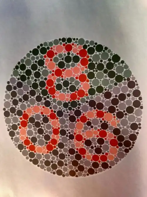 2020年最近驾考体检专用色盲检测图