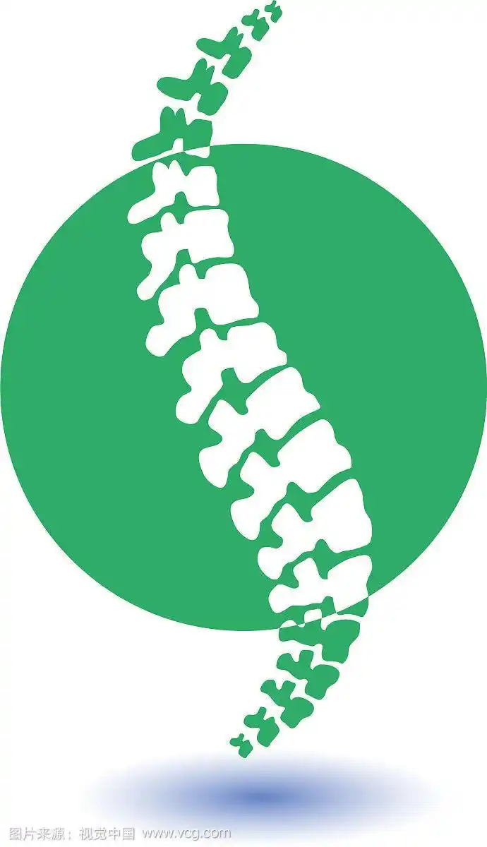 人体脊柱孤立剪影