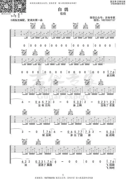 白鸽c调吉他谱 | 伍佰_沉默_带着_自由