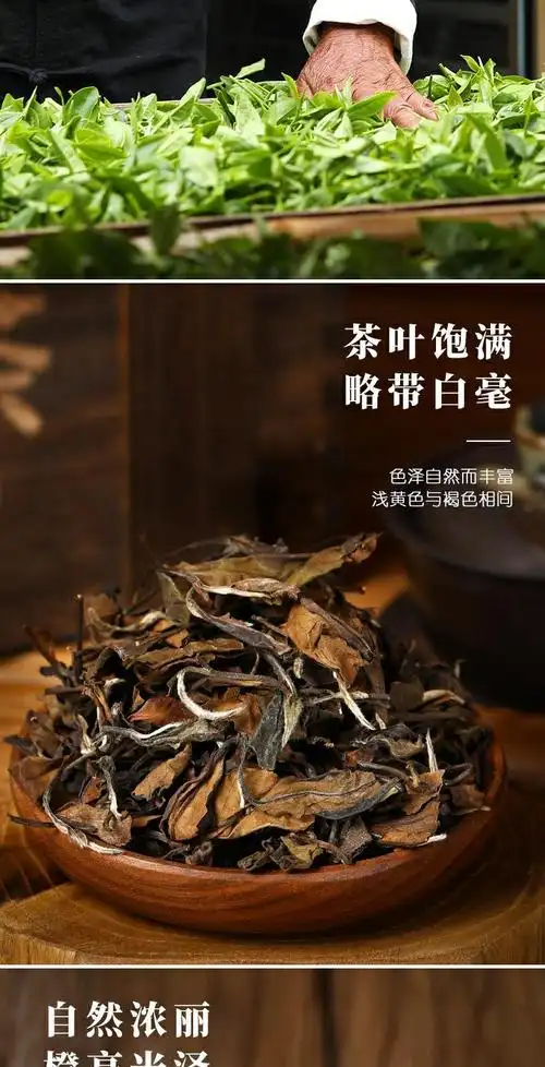 福鼎老白茶陈年荒野贡眉寿眉茶王高档高端特级茶叶礼盒装会议用茶