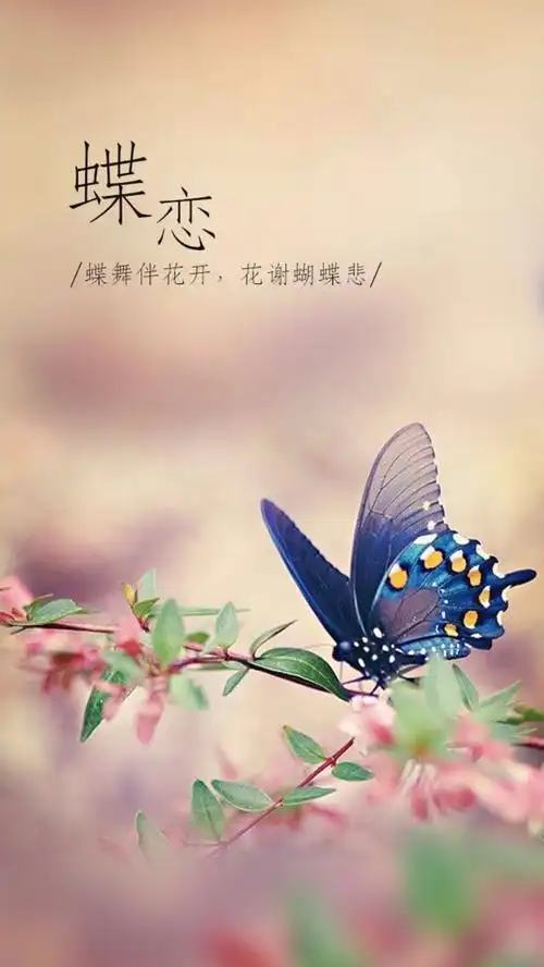 你若盛开,蝴蝶自来.做自己喜欢的事,过自己喜欢的生活