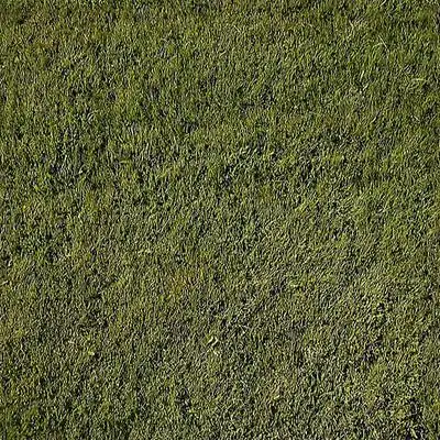 植物贴图素材设计素材专辑