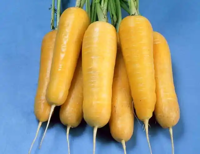 寿光蔬菜网 -欢迎加入寿光蔬菜网!