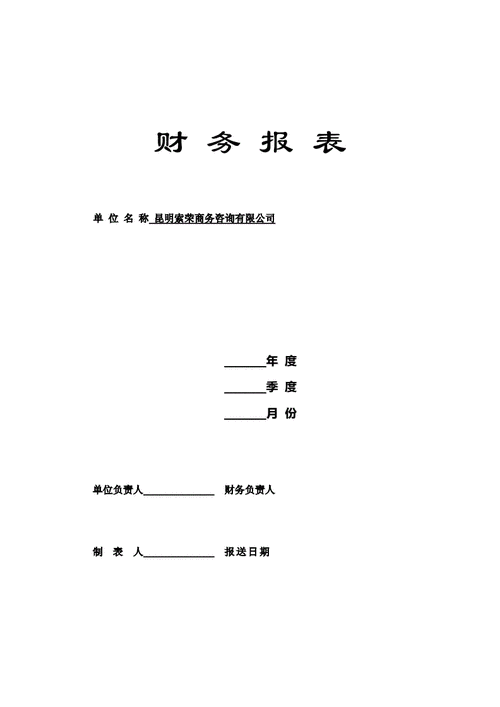财务报表封皮.docx 2页