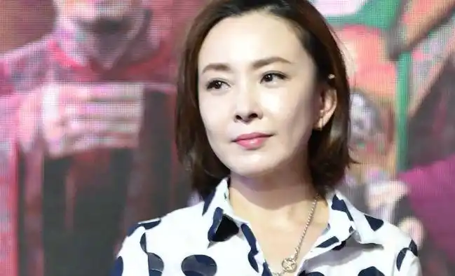 她是"央视才女",是张嘉译前妻,今嫁给富商生活美满