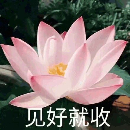 莲花沙雕见好就收gif动图_动态图_表情包下载_soogif
