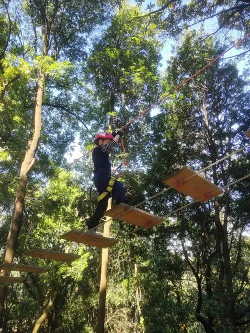 飞越丛林游记真的非常好玩