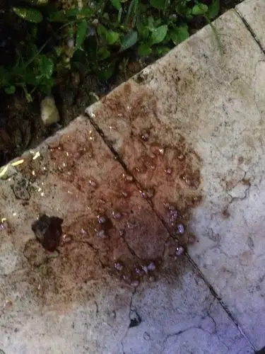 一直没事,昨晚喝了一点点就吐了,而且带很多血!是怎么回事