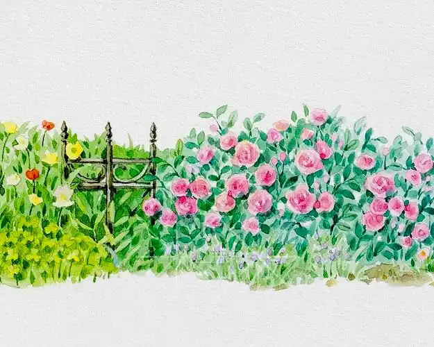 花园小路|插画|商业插画|玉米呀yumia_原创作品-站酷zcool