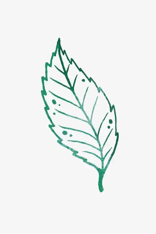 手绘叶子