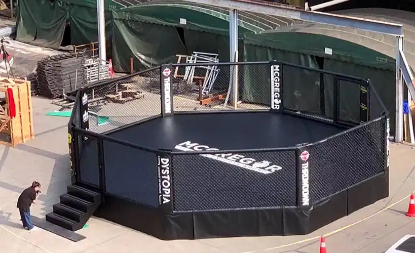 仕尔道的八角笼好吗?