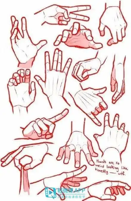 动漫手势画法教程手的画法参考素材