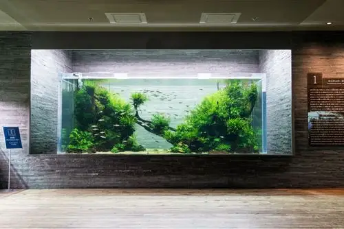 东京墨田水族馆内的ada草缸