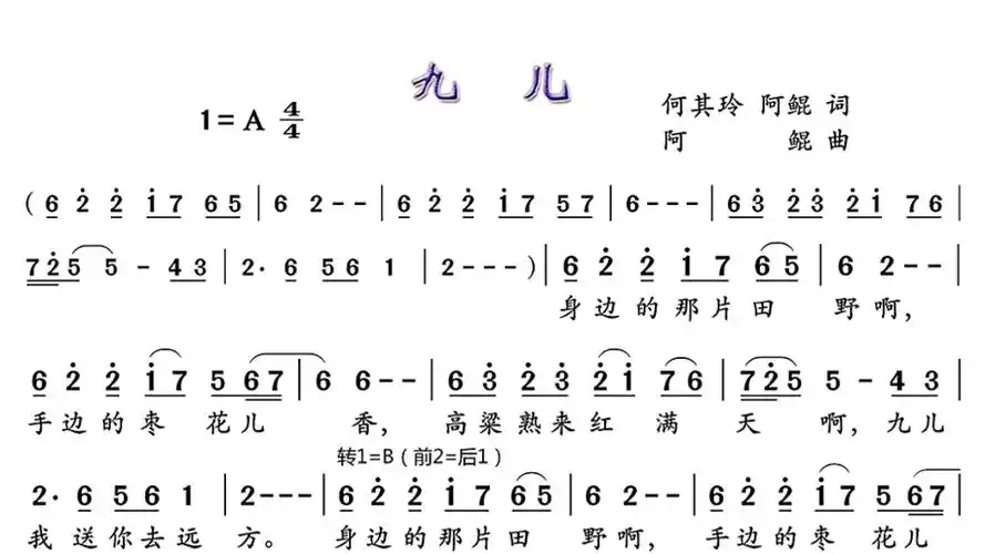 《九儿》动态简谱伴奏