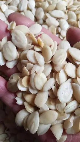 中药材批发桃仁