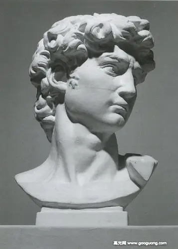 素描石膏像照片素材大全,美术生必备的素描石膏像图集