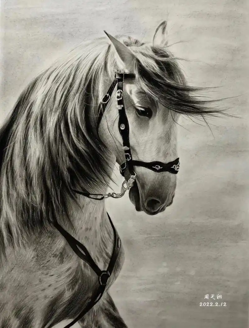 【素描动物】骏马98一匹在海边奔驰的白马 所用工具:炭笔,碳条,笔形