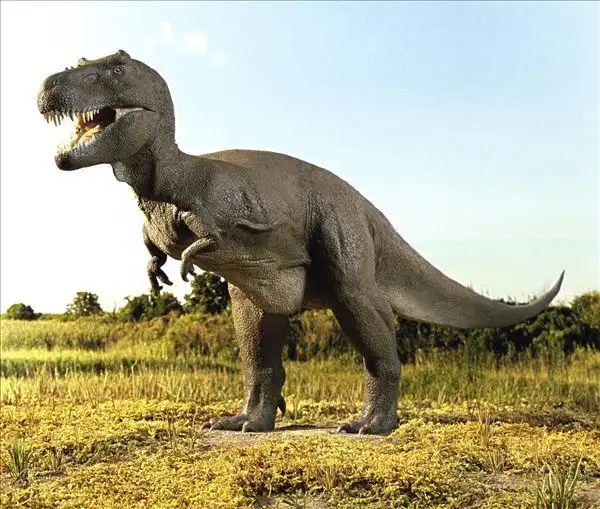 暴龙图片_全景网