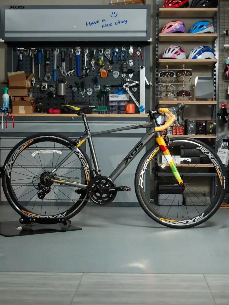 喜德盛 | rx 280入门公路车 车架:700c×460,480mm,510mm车胎:kenda