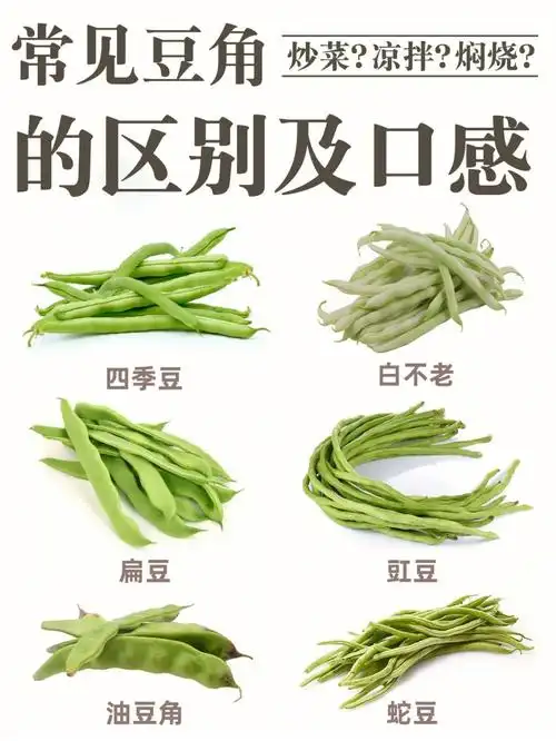 常见豆角的区别及口感