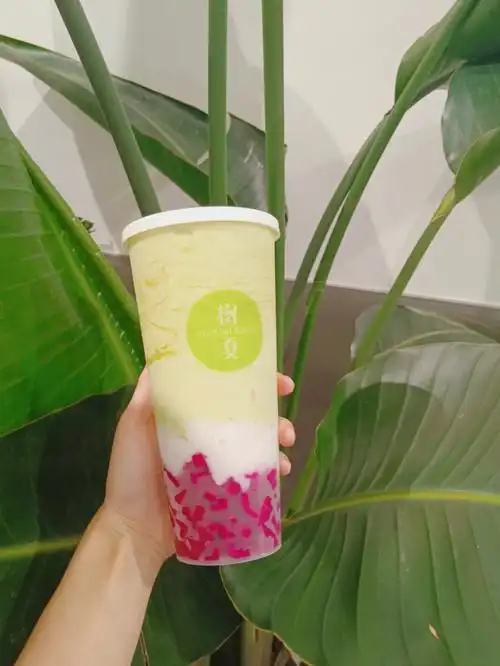 树夏牛油果05沙冰款