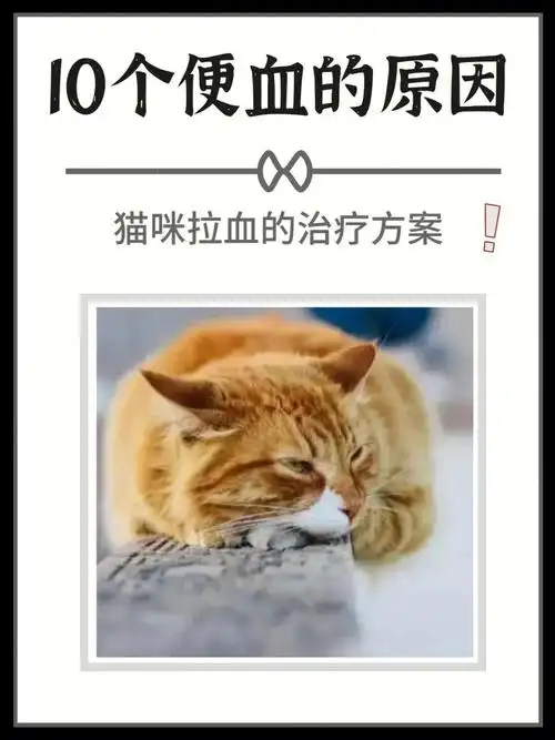 其实常见的大多数都是由于便秘,体内寄生虫07导致的!