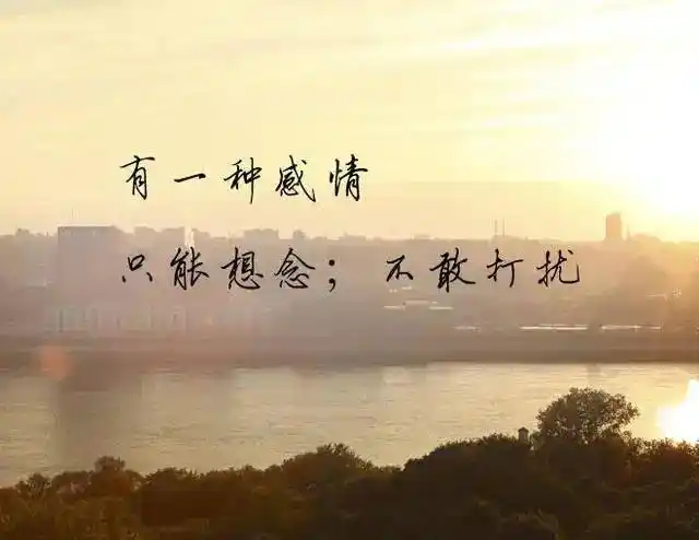 想你,却不敢打扰你