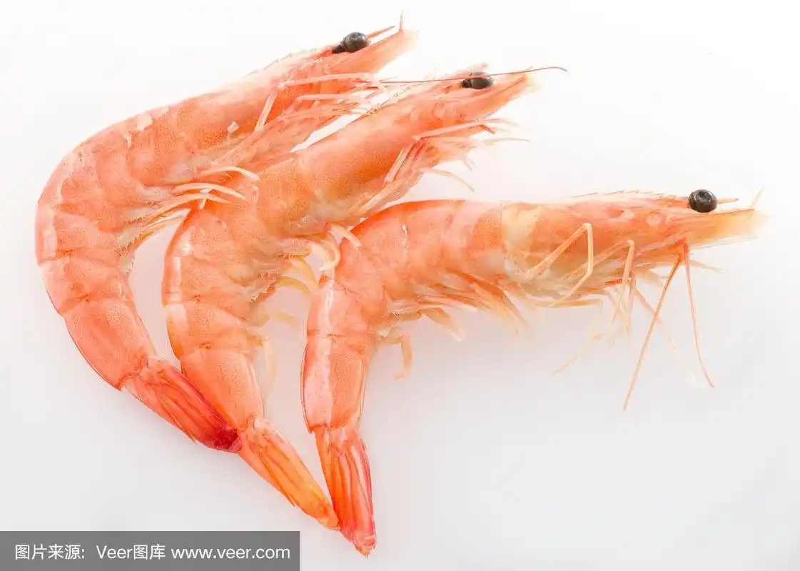 煮熟的对虾或虎虾在白色的背景