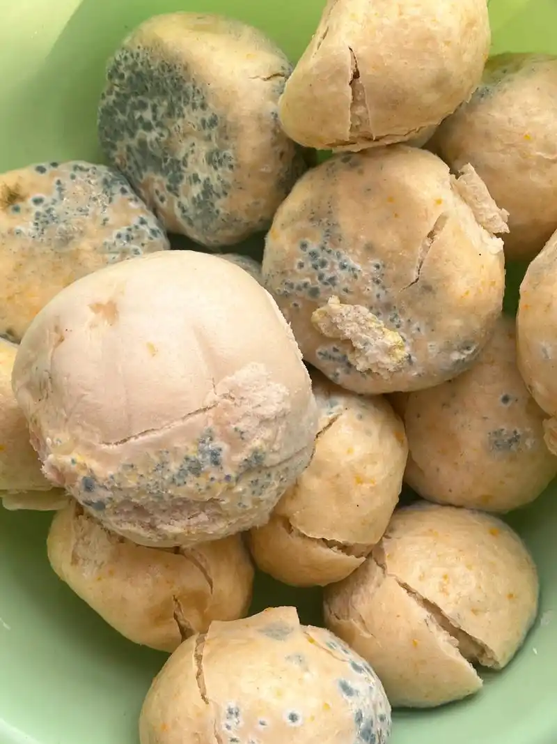 我妈蒸的两盆馒头都发霉了,她还不知道