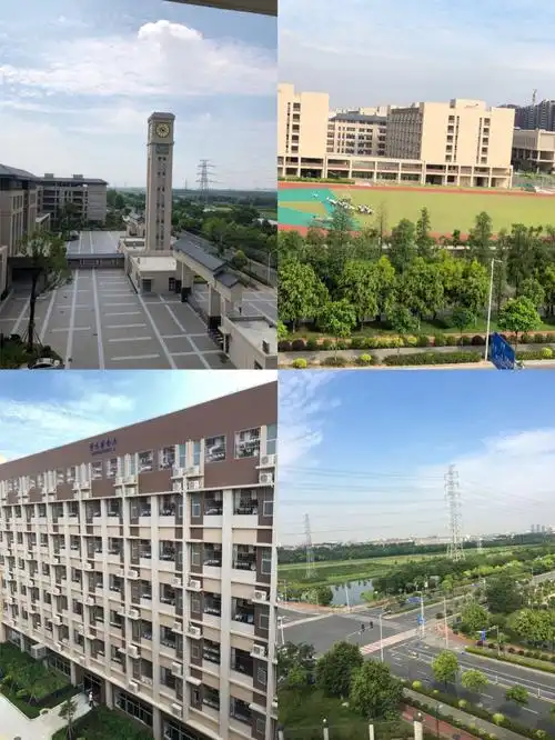 家校携手,共建文明和谐校园——东华小学生态园校区118班家长开放日