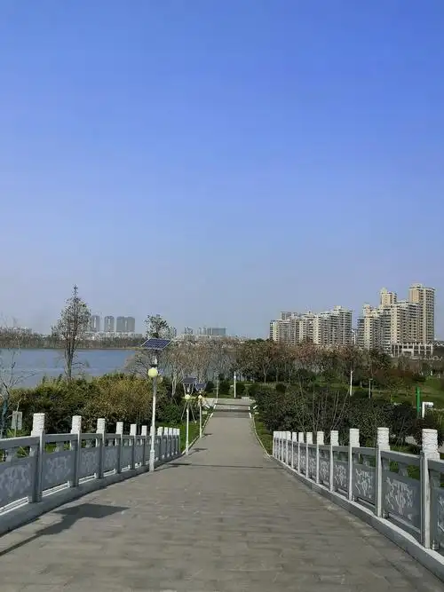 (骑行张公堤绿道,金银湖绿道,湿地公园,2020年3月15日)