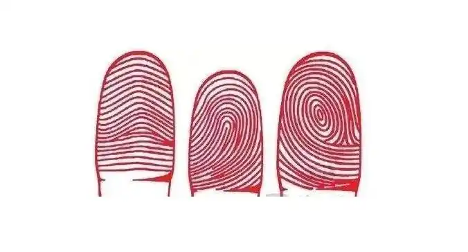 周易易学讲堂-手相研究