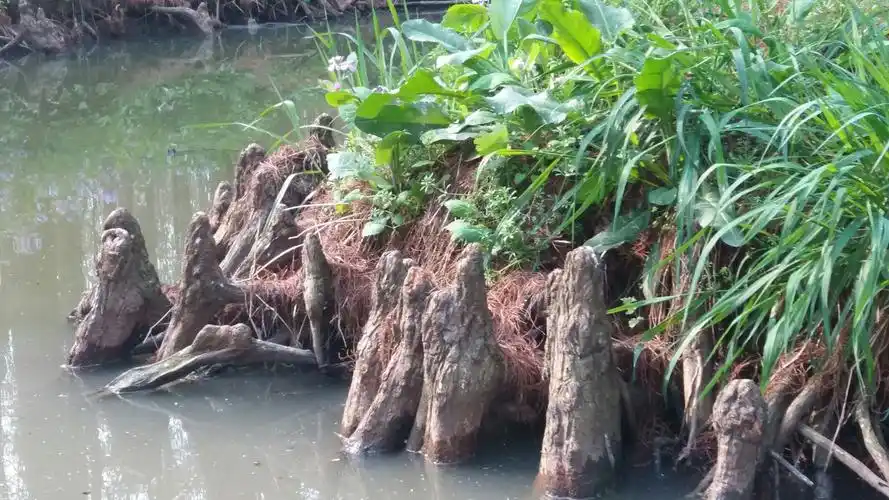 烟花三月下扬州