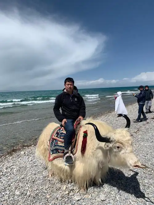 骑上羊背发洋财