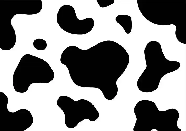 不喝牛奶de奶牛