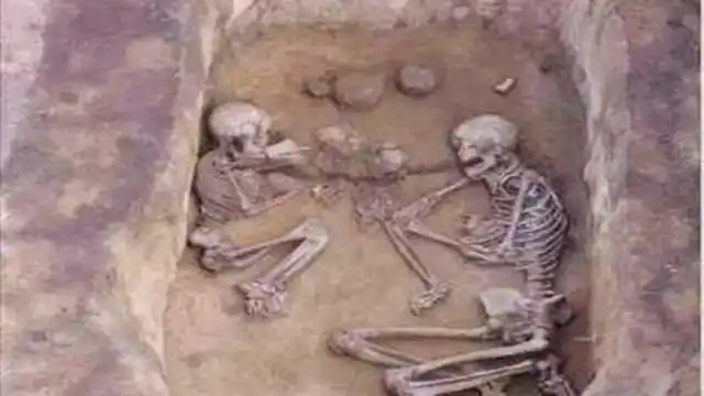 国家亡后,一人冒死偷走一具皇帝遗骨,之后这具遗骨被全国人祭拜