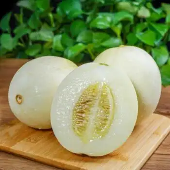 适用于 现货新鲜白皮甜瓜白蜜瓜10斤新鲜水果当应季时令白皮甜瓜整箱
