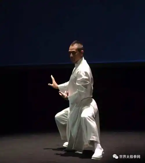 (赵文卓演练太极拳)第二届太极文化与健身气功国际论坛活动由国际健身