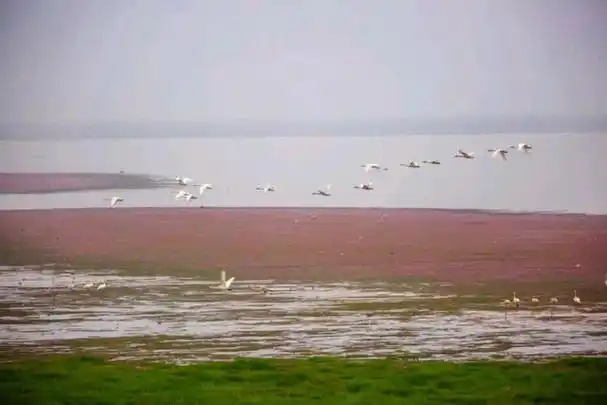 江西省最大的湖泊,相当于100个武汉东湖,简直是大自然的馈赠