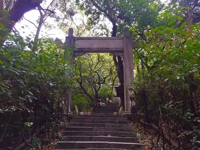 广州市番禺区桔树村南街2号_vip龙游子分享_天气时景_预报查询 - 墨迹