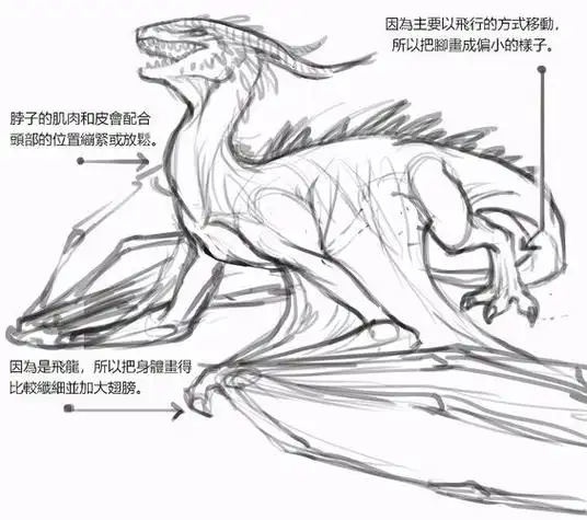 简笔画龙图片简笔画龙图片大全大图画法