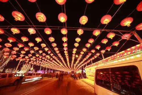 己亥年正月沈北灯会荟萃