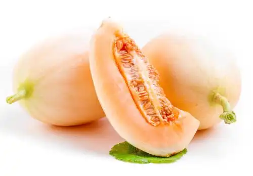 白底上放着山东东方蜜瓜